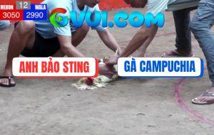 Trận 12 Anh Bảo Sting Với Campuchia Tại Bồ Dinh Ba Ngày 21/6/2025