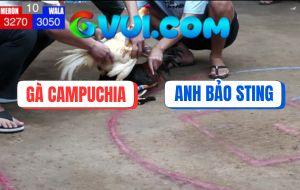 Trận 10 Anh Bảo Sting Với Campuchia Tại Bồ Dinh Ba Ngày 21/6/2025