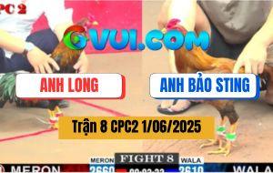 Trận 8 CPC2 1/6/2025 - Khét Nhập Bảo Sting Đá Điều Anh Long Mất Mạng