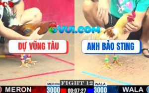 Trận 12 CPC2 27/07/2025 - Camelo Bảo Sting Gồng Tang Lật Kèo Ngoạn Mục