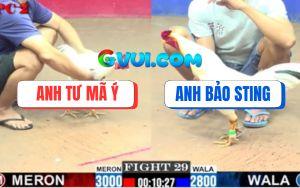 Trận 29 CPC2 27/07/2025 - Bướm Hiệu Bảo Sting Đá Úa Gãy Giò Rớt Tự Do