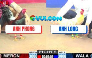 Trận 6 CPC2 30/7/2025 - Bướm Có Chân Kết Thúc Anh Long Nhảy Ăn Mừng