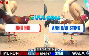 Trận 9 CPC2 27/07/2025 - Điều Bông Bảo Sting Có Chân Kết Thúc Quá Đẹp