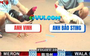 Trận 10 CPC2 20/07/2025 - Bướm Hiệu Bảo Sting Nhấc Chân Là Có Kết Quả