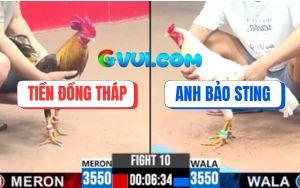 Trận 10 CPC3 26/07/2025 - Không Có Anh Bảo Sting, Bướm Hiệu Bị Dí Bạc