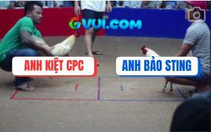 Trận 13 Bồ Gà TonHon Ngày 6/7/2025 - Anh Bảo Sting VS Anh Kiệt CPC