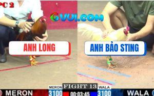 Trận 13 CPC2 16/7/2025 - Úa Hiệu Bảo Sting Đá Gà Điều Anh Long Tắt Thở