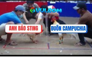 Trận 17 Bồ Gà TonHon 18/7/2025 - Bảo Sting Giành Trọn 3 Điểm Đầu Tiên