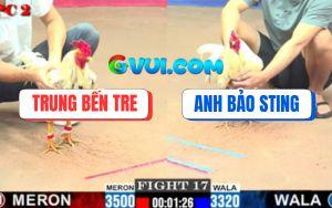 Trận 17 CPC2 20/07/2025 - Đúng Mẻ Hiệu Bảo Sting 3 Cước Lụm Kem