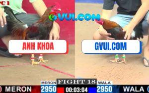 Trận 18 CPC1 5/7/2025 - Điều Cọp GAKING79 Đá 1 Phát Đối Thủ Chết Tươi