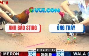 Trận 17 CPC2 9/7/2025 - Điều Cọp Bảo Sting 1 Đá Phân Định Thắng Bại