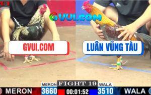 Trận 19 CPC1 5/7/2025 - Gà GAKING79 Có Chân Xạo Lờ Cứu Thua Xuất Sắc