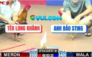 Trận 2 CPC2 20/07/2025 - Úa Hiệu Anh Bảo Sting Có Chân Xạo Lờ