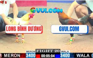 Trận 20 CPC1 3/7/2025 - Bướm Anh Long Phang Điều Xanh GAKING79 Gãy Giò