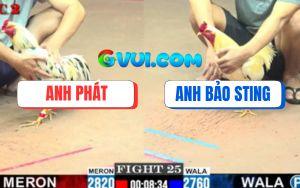 Trận 25 CPC2 20/07/2025 - Bướm Cậu Đông Hạ Bướm Hiệu Bảo Sting Dễ Dàng