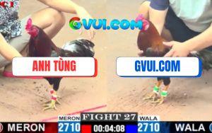 Trận 27 CPC1 3/7/2025 - Gà GAKING79 Ra Đòn Độc Đá Gà Anh Tùng Rụng Rời