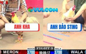 Trận 3 CPC2 16/7/2025 - Khét Sữa Có Chân Xạo Lờ Hạ Úa Hiệu Bảo Sting