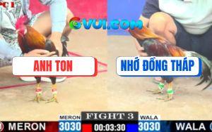 Trận 4 CPC1 3/7/2025 - Xám Mồng Lá Má Mồng Dâu Đá Đâu Cũng Ăn