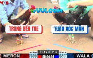 Trận 4 CPC2 11/7/2025 - Gà Phèn Anh Trung Đâm Gà Xanh Gỡ Cựa Không Kịp