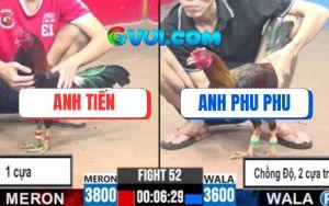 Trận 52 CPC3 12/7/2025 - Gà Phu Phu Chồng Độ Đá 2 Cây Trên Múa Quá Hay