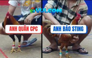 Trận 6 Bồ Gà TonHon Ngày 6/7/2025 - Gà Khét Anh Bảo Sting Quá May Độ