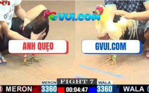 Trận 7 CPC1 12/7/2025 - Úa Hiệu GAKING79 Đá Điều Chân Xanh Bay Bồ