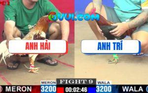 Trận 9 CPC1 5/7/2025 - Điều Xanh Anh Trí Đá Bát 1 Hạ Camelo Anh Hải