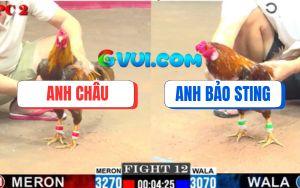 Trận 12 CPC2 01/08/2025 - Khét Bông Mồng Trích Bảo Sting Đâm Bao Dính