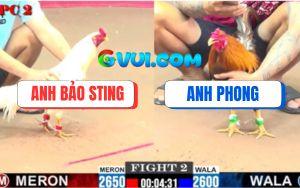 Trận 2 CPC2 6/8/2025 - Anh Bảo Sting Mở Bát Cái Đầu Bị Đá Bung Chạy