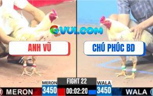 Trận 22 CPC3 5/8/2025 - Bướm Hiệu Chú Phúc Bình Dương Tải Cựa Quá Tốt