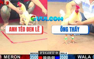 Trận 9 CPC2 3/08/2025 - Gà Úa Đá Chân Nào Gà Bướm Anh Tèo Đở Chân Đó