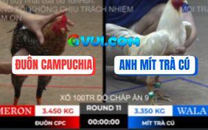 Trận 11 Bồ TonHon 10/10/2025 - Gà Anh Mít Trà Cú Chưa Đá Đã Bung Chạy