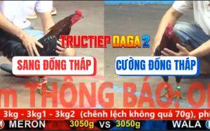 Trận 10 CPC5 9/11/2025 - Gà Điều Quá Trâu Gà Bông Đâm Không Thấm