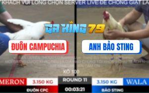 Trận 11 TonHon 28/11/2025 - Bướm Hiệu Bảo Sing Hạ Bướm Anh Đuôn Mau Lẹ