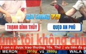 Trận 12 CPC5 27/11/2025 - Gà Bướm Anh Thạnh Đâm Không Trật Phát Nào