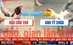 Trận 15 CPC5 25/11/2025 - Bướm Hiệu Tý Chùa Chết Giả, Tỉnh Dậy Bỏ Chạy