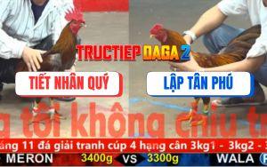 Trận 23 CPC5 6/11/2025 - Gà Anh Tiết Nhân Quý Đâm Không Trượt Phát Nào