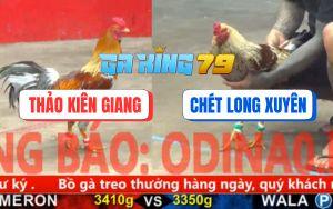 Trận 24 CPC5 25/11/2025 - Xám Vàng Mặt Râu Đá Xám Chuối Khỏi Tha Lơ