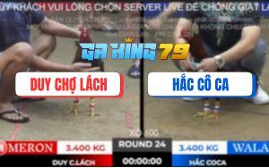 Trận 24 TonHon 28/11/2025 - Anh Bảo Sting Thả Giùm Hạ Anh Hắc Cô Ca