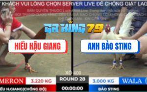 Trận 28 TonHon 28/11/2025 - Điều Chồng Độ Hạ Úa Bảo Sting 1 Nốt Nhạc