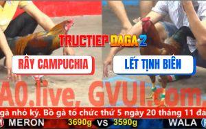 Trận 8 CPC5 9/11/2025 - Gà Phèn Anh Lết Tịnh Biên Đá Bo Như Cây Đập