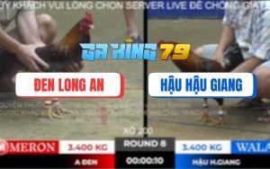 Trận 8 TonHon 28/11/2025 - Xám Cọp Anh Đen Hạ Điều Trong 1 Nốt Nhạc