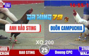 Trận 25 Bồ TonHon 3/12/2025 - Hơn 3 Chấm Bảo Sting Hạ Anh Đuôn Gọn Lẹ