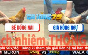 Trận 29 CPC5 6/12/2025 - Gà Cú Anh Bé Hạ Gà Khét Không Rớt Cọng Long