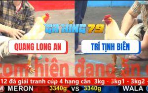 Trận 6 CPC5 3/12/2025 - Gà Bướm Anh Dưa Hấu Vỡ Trận Mất Xổ Trăm Triệu