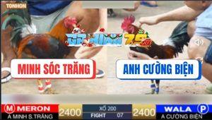 Trận 7 Ton Hon 26/12/2025 - Điều Cọp Anh Minh 1 Cước Hốt Cái Xổ 200