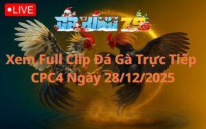 Xem Full Clip Đá Gà Trực Tiếp CPC4 Ngày 28/12/2025