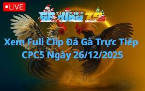 Xem Full Clip Đá Gà Trực Tiếp CPC5 Ngày 26/12/2025