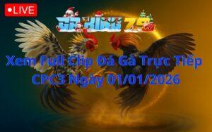 Xem Full Clip Đá Gà Trực Tiếp CPC3 Ngày 01/01/2026