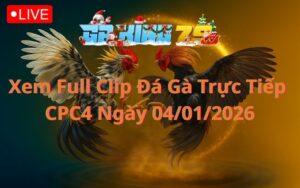 Xem Full Clip Đá Gà Trực Tiếp CPC4 Ngày 04/01/2026